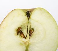 Sageby æble